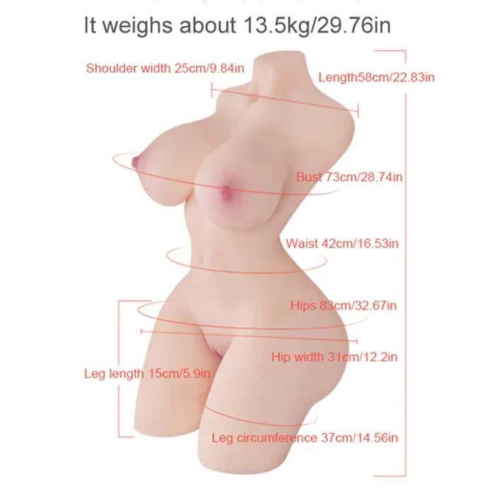 Ashley- 29.76LB Lifelike Gel-filled Female Torso Sex Doll